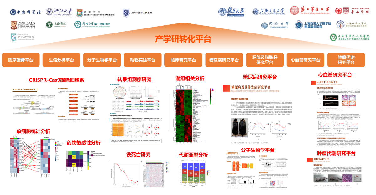 铁算算盘490777